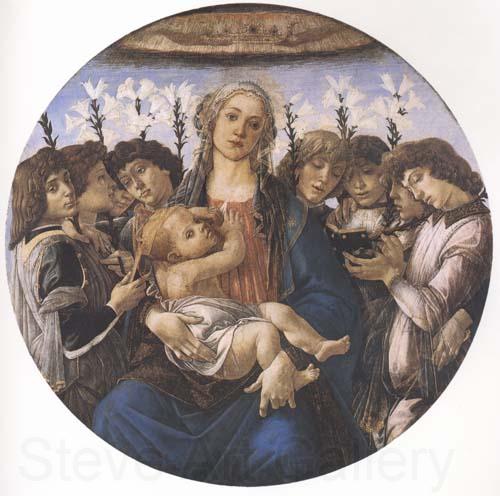 Sandro Botticelli Madonna and child with eight Angels or Raczinskj Tondo